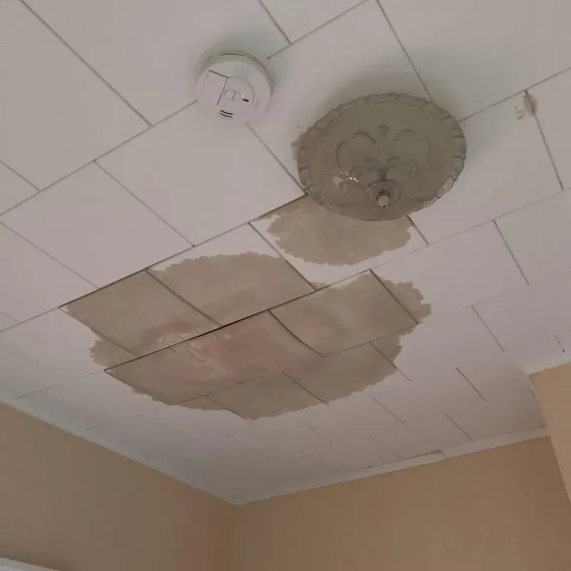 Ceiling Water Damage Repair in Fitzwilliam, NH