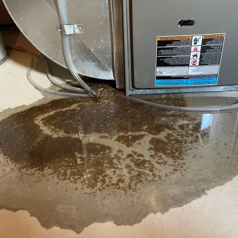 Pipe Burst and Leak Restoration in Fitzwilliam, NH